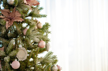 Christmas featuring tree, christmas, and holiday, a Holiday Photo by Byrdyak