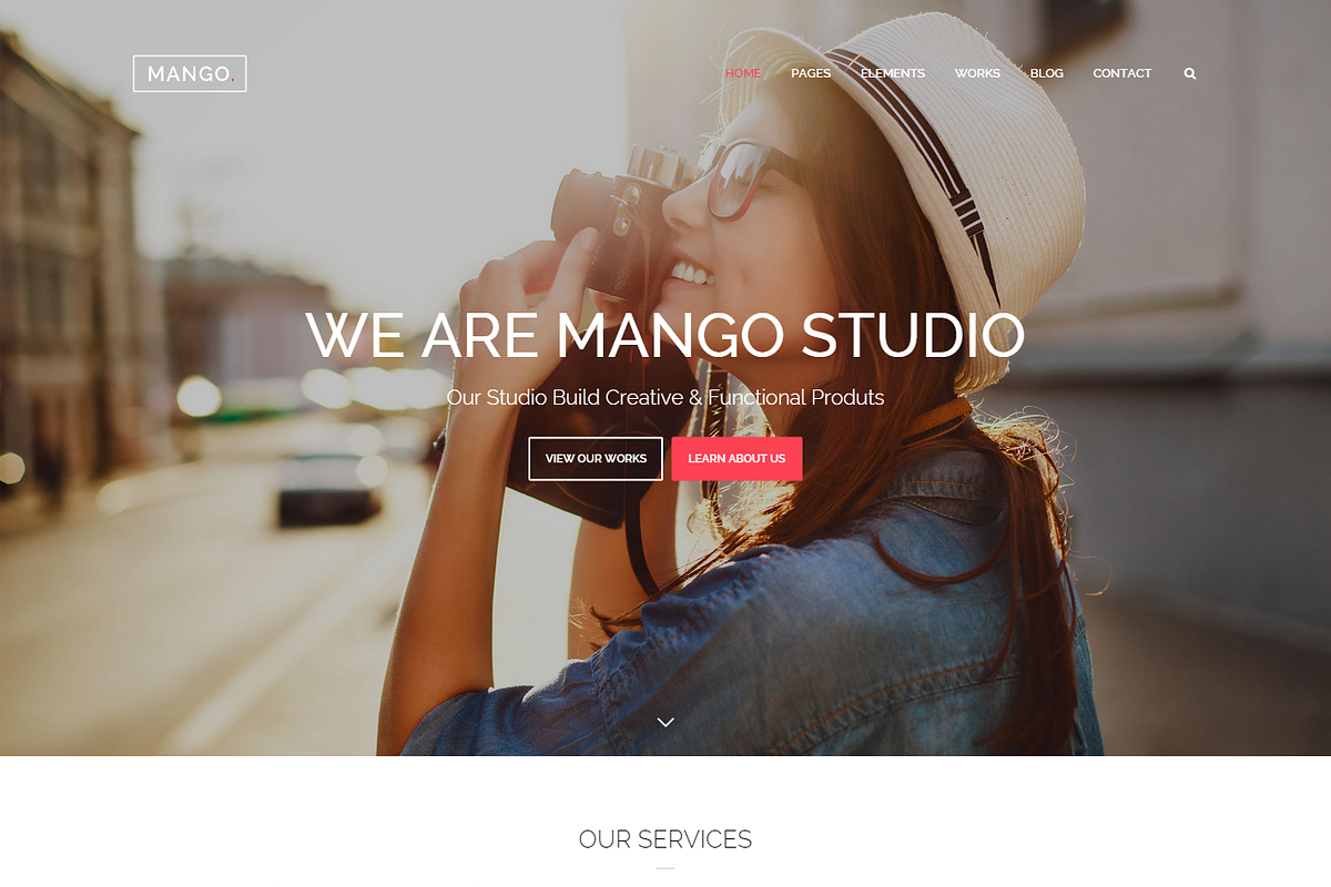 Mango - Portfolio&Business WP Theme, a WordPress Template by weblion (Photo 3 of 10)