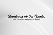 Alovoss - Monoline Script Font, a Script Font by Fontcastle (Thumbnail 4 of 5)