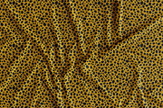 Seamless Animal Print Patterns, a Pattern Graphic by Jaclyn Caris (Thumbnail 12 of 13)