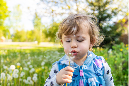 A child in nature blows a dandelion, a Nature Photo by yanadjana