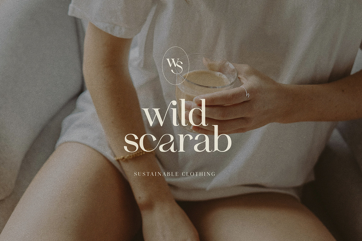 Idealist Serif, a Serif Font by Nicky Laatz (Photo 6 of 34)