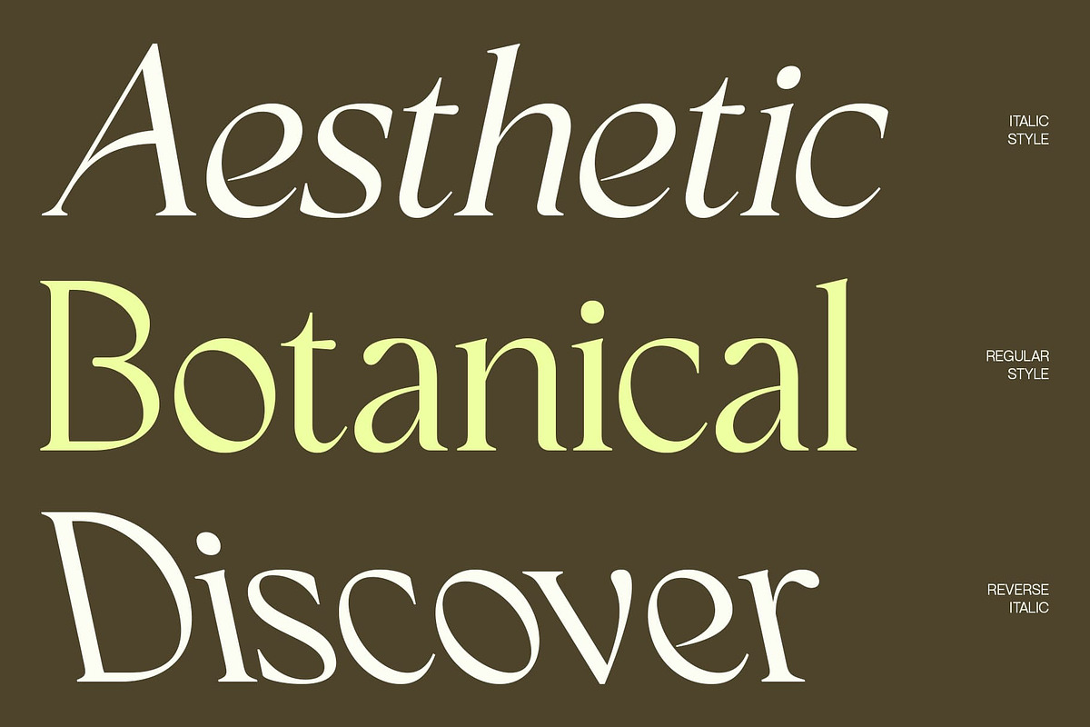 CS Sargent – Art Nouveau Font, a Serif Font by Craft Supply Co. (Photo 2 of 8)