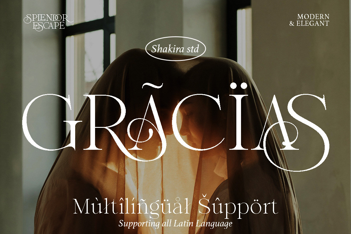 Splendor Escape - Elegant Serif, a Serif Font by Shakira Studio (Photo 10 of 12)