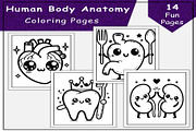 Human Body Anatomy Coloring Pages, an Education Illustration by Lamia Emad (Thumbnail 1 of 2)