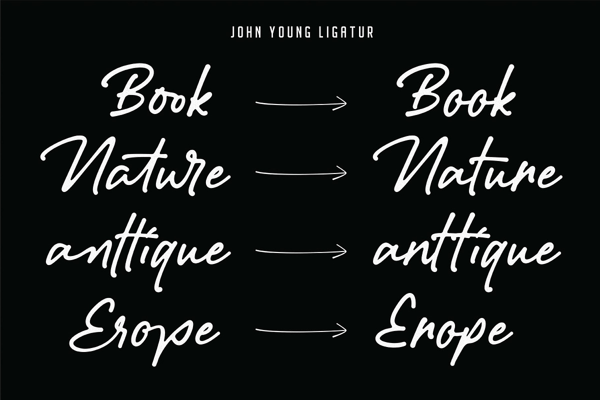 John Young, a Script Font by Secondivison Supply (Photo 6 of 8)