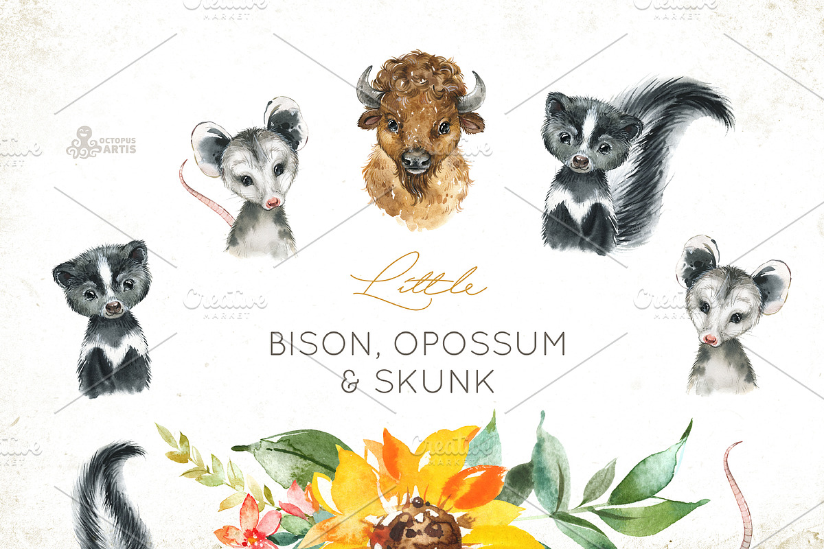 Woods. Little Watercolor Animals, an Animal Illustration by OctopusArtis (Photo 4 of 9)