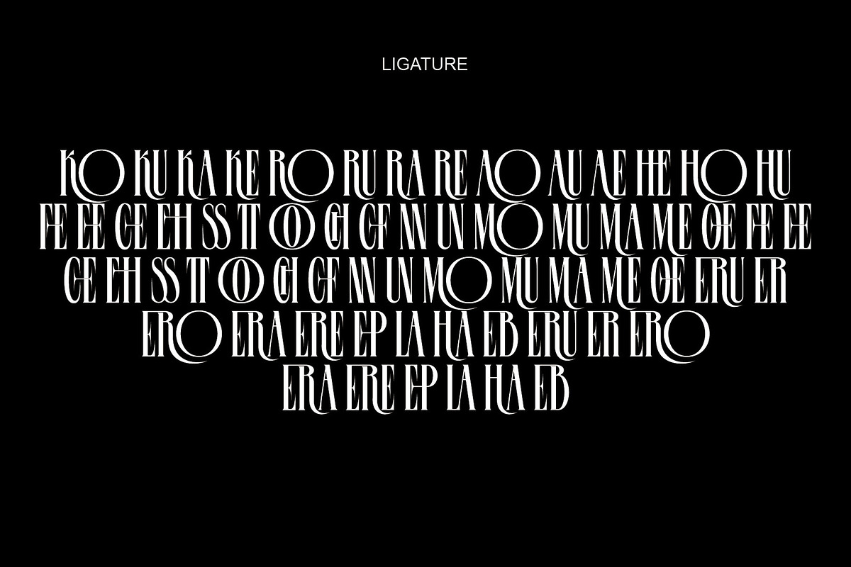 Centrue Modern Display Serif, a Serif Font by Alfinart (Photo 10 of 11)