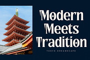 Norique Modern Display Typeface, a Serif Font by Letterena Studios (Thumbnail 8 of 15)