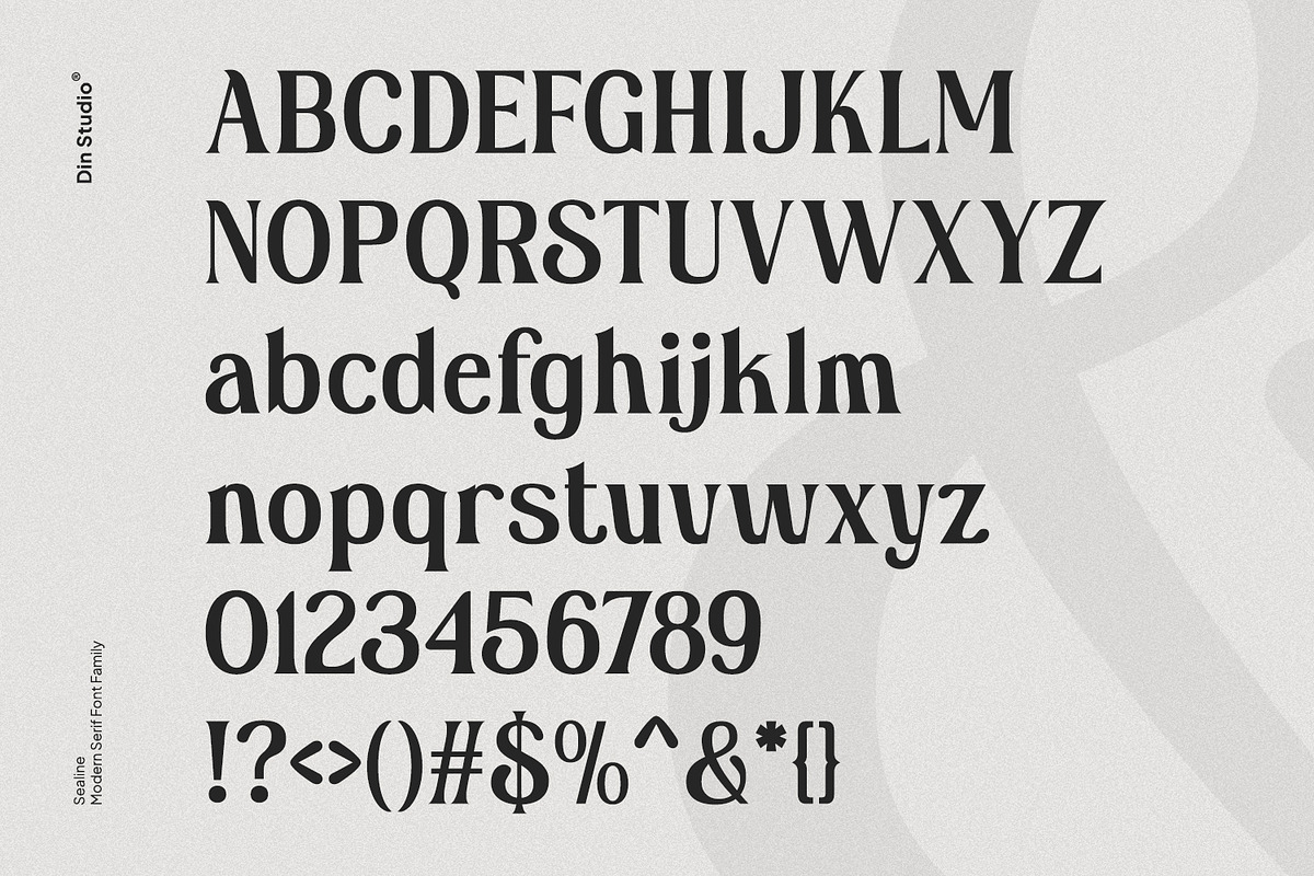 Sealine, a Serif Font by din-studio.com (Photo 6 of 11)