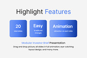Modular Investor Brief Google Slides, a Presentation Template by Loin Studio (Thumbnail 2 of 4)