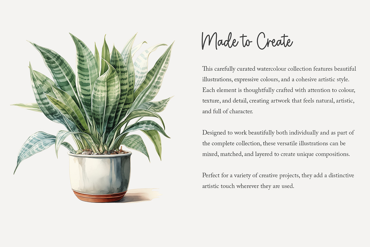 100 watercolor house plants clip art, a Seasonal Illustration by Poppy Lane Studio (Photo 8 of 12)