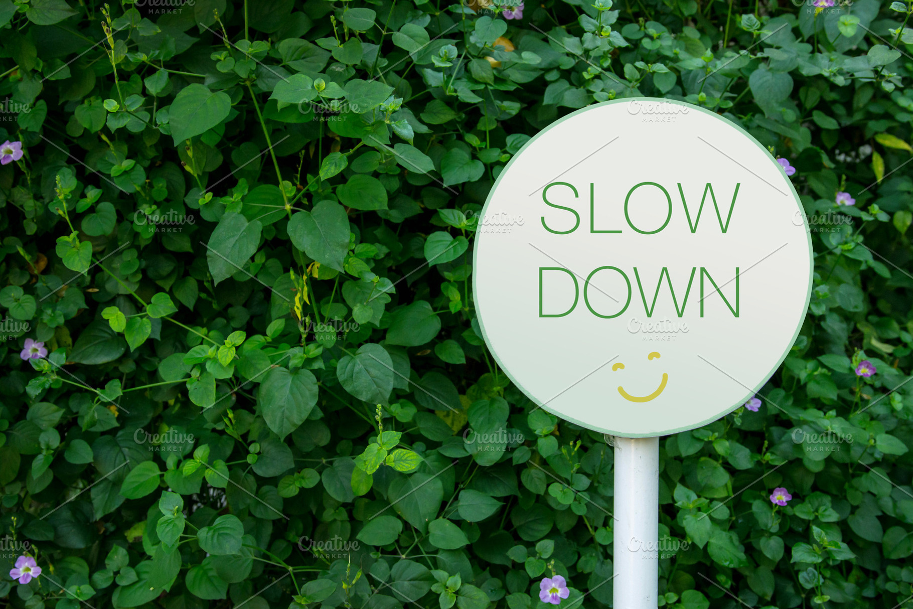 Round SLOW DOWN sign with a smiley face stands against dense gre, a Photo by salmon.black
