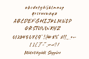 Jiwaku Menanti - Handbrush Font, a Handwritten Font by Sronstudio (Thumbnail 9 of 9)