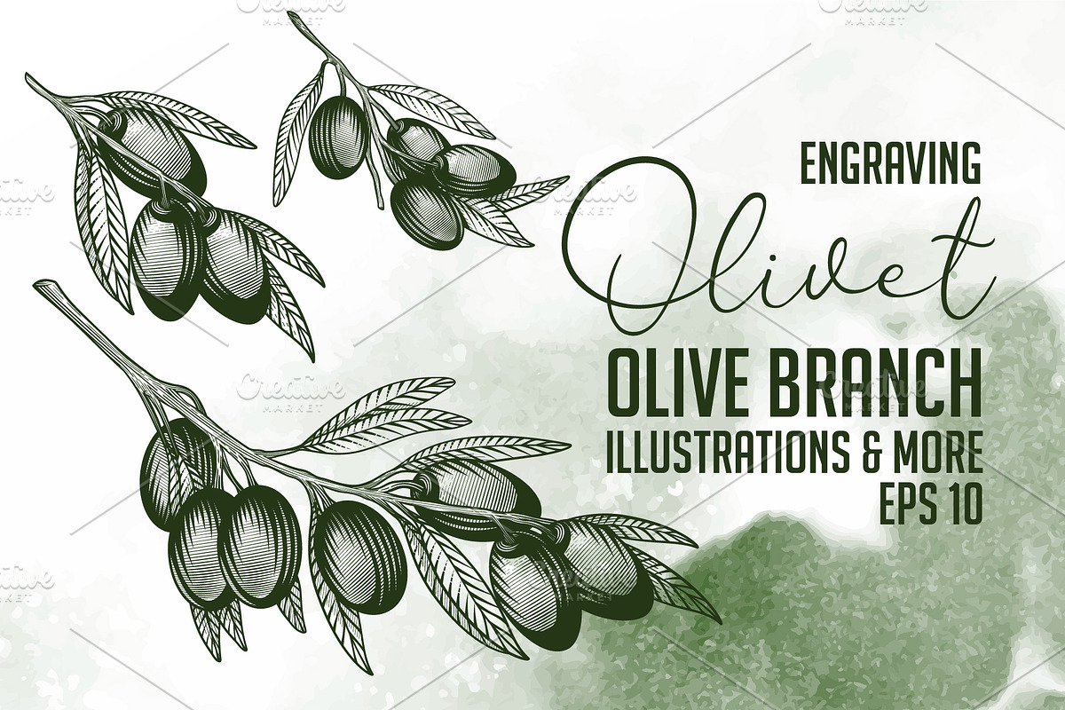Olivet - olive branch collection, a Decorative Illustration by VioSilent (Photo 2 of 10)
