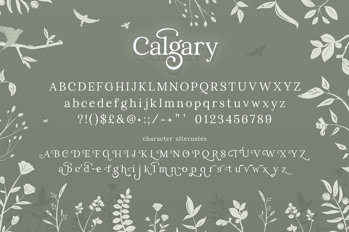 Calgary Serif Font Duo, a Serif Font by Salt & Pepper Designs (Photo 4 of 6)
