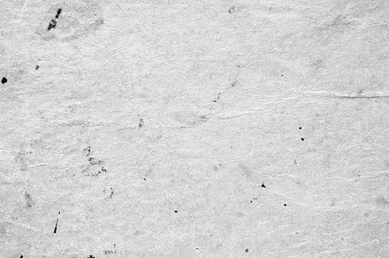 Primed canvas preview 6