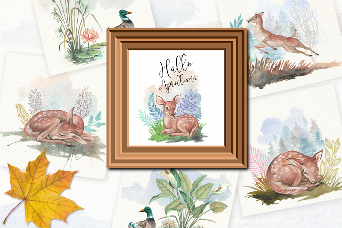 Watercolor North American Spring, an Illustration by Graphobia (Photo 4 of 10)