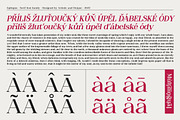 Epilogus - Serif font family, a Serif Font by Artistic & Unique (Thumbnail 8 of 15)