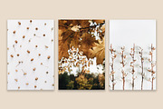 Fall Collection 2, a Beauty & Fashion Photo by Floral Deco (Thumbnail 5 of 7)