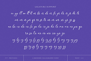 Wonderful Calligraphy, a Handwritten Font by RockboyStd (Thumbnail 5 of 12)