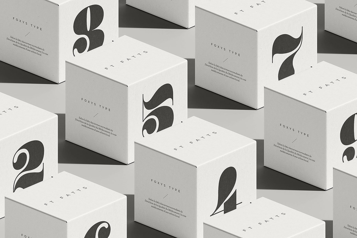 Fatts, a Serif Font by Foxys Type (Photo 2 of 6)