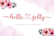 Hello Selly, a Script Font by AEN Creative Studio (Thumbnail 1 of 12)