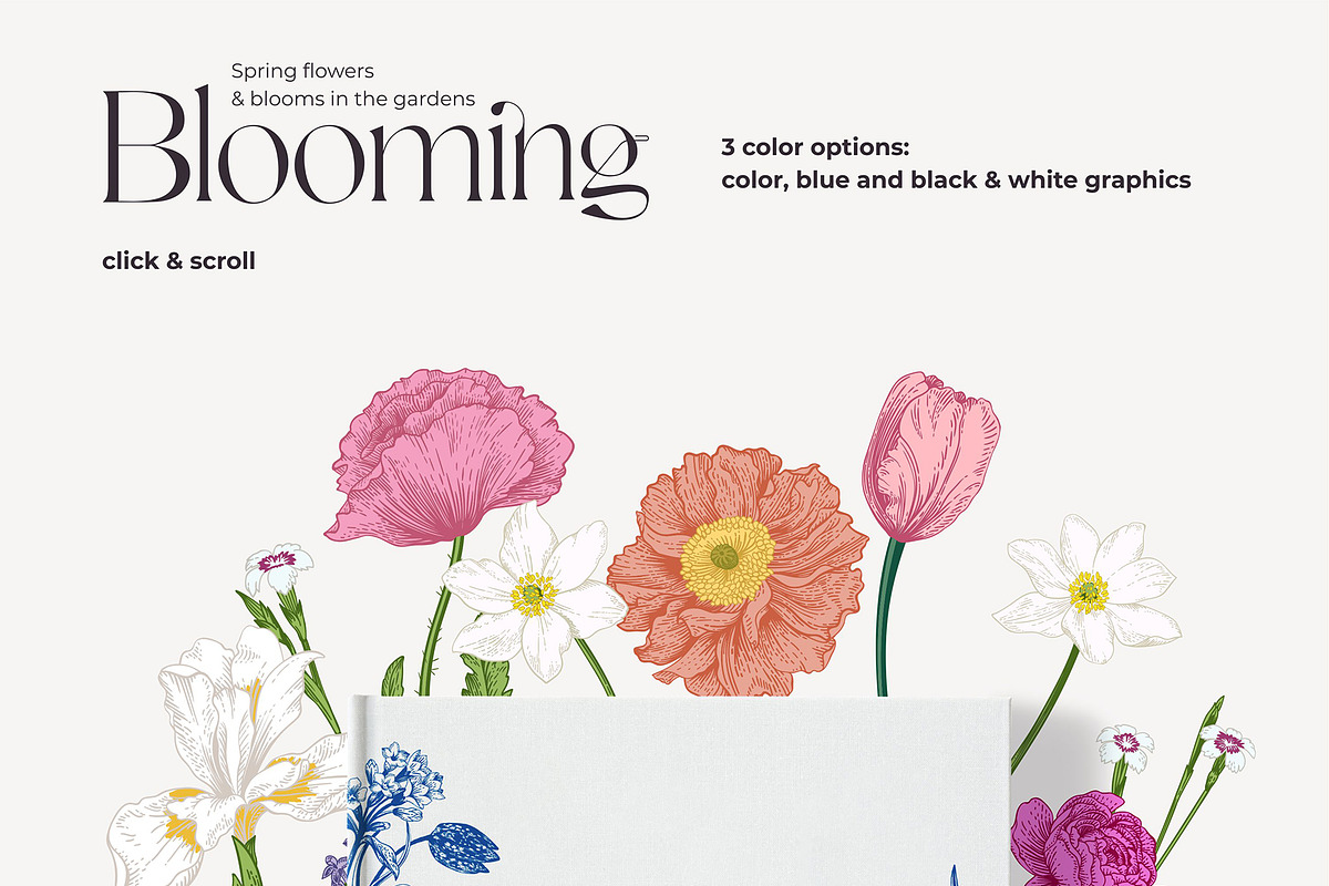 Blooming, an Illustration by Lisla (Photo 9 of 11)