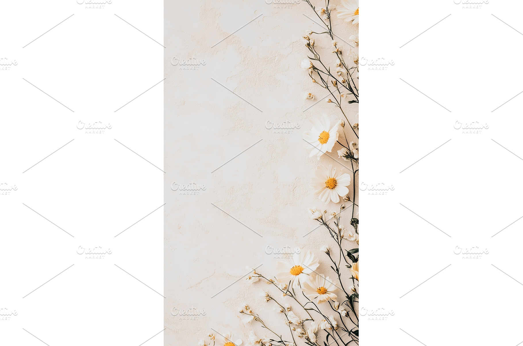Elegant white daisies on minimalist, an Arts & Entertainment Photo by Lermont51