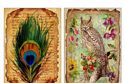 Vintage paper, feathers & owls cards, an Object Graphic by DidiArtWorld (Thumbnail 3 of 3)