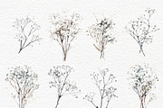 Gypsophila clipart, Baby Breath PNG, a Decorative Illustration by Invite to Clipart (Thumbnail 5 of 7)