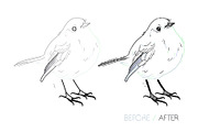 Infinito Technical Pen Brushes, a Brush Add-On by Side Project (Thumbnail 4 of 7)