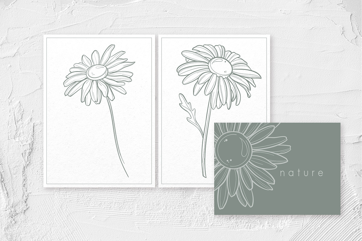 Daisy clipart flower SVG PNG EPS, a Decorative Illustration by DamriNa art (Photo 4 of 5)
