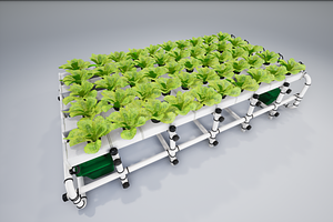 Hydroponics System LR