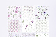 Charming purple pansies, hydrangea, an Illustration by astelenadesign (Thumbnail 7 of 12)