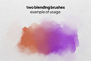 Procreate watercolor bundle, a Brush Add-On by Endete & Mazak brushes (Thumbnail 7 of 10)