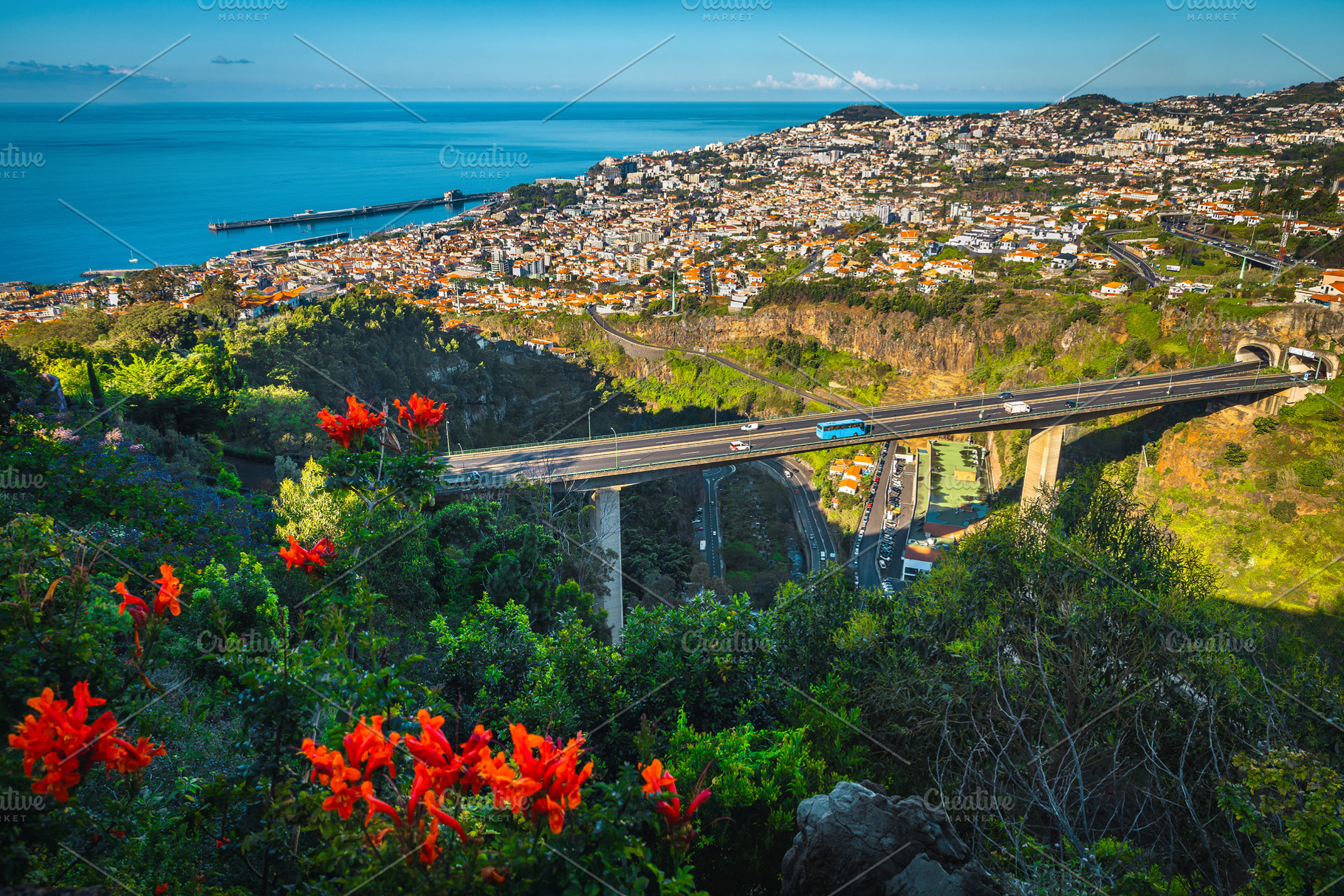 Funchal city view from the hill, an Architecture Photo by Alpine Dreams