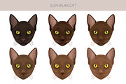 Suphalak cat clipart, an Animal Illustration by pet design shop (Thumbnail 5 of 6)