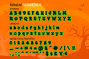 Boneny Font, a Handwritten Font by BBtypeStudios (Thumbnail 9 of 12)