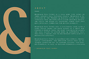 Highfield - Luxury Sans Font Family, a Sans Serif Font by Surplus Type Co (Thumbnail 7 of 10)