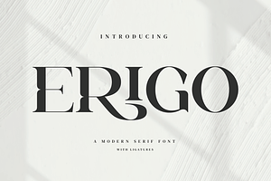 Erigo - Modern Serif Font