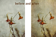 Baleares - Fine Art Grunge Textures, a Texture Graphic by dyrkwyst textures (Thumbnail 6 of 9)