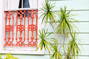 Palm leaves featuring new orleans, porch, and plant