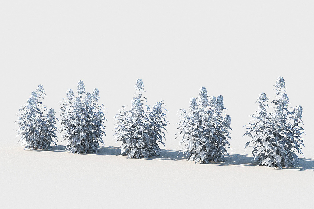 Phlox, an Environmental 3D Model by happy brush (Photo 5 of 6)