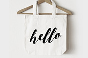 Blanca Script + Bonus, a Script Font by Studio design (Thumbnail 8 of 10)