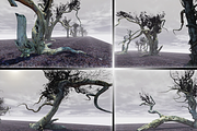 Witchwood, an Environmental 3D Model by MotuProprio (Thumbnail 7 of 7)