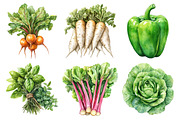Watercolor Vegetable Collection Clip, an Illustration by Daily.Designs (Thumbnail 4 of 5)