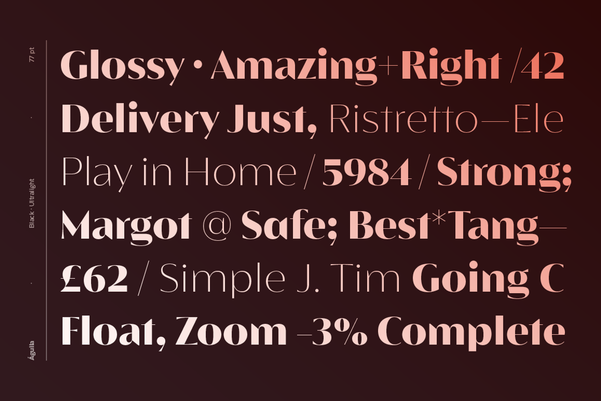 Águila, a Sans Serif Font by Latinotype (Photo 2 of 15)