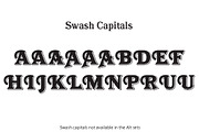 Tavern Black, a Font by FontMesa (Thumbnail 5 of 6)