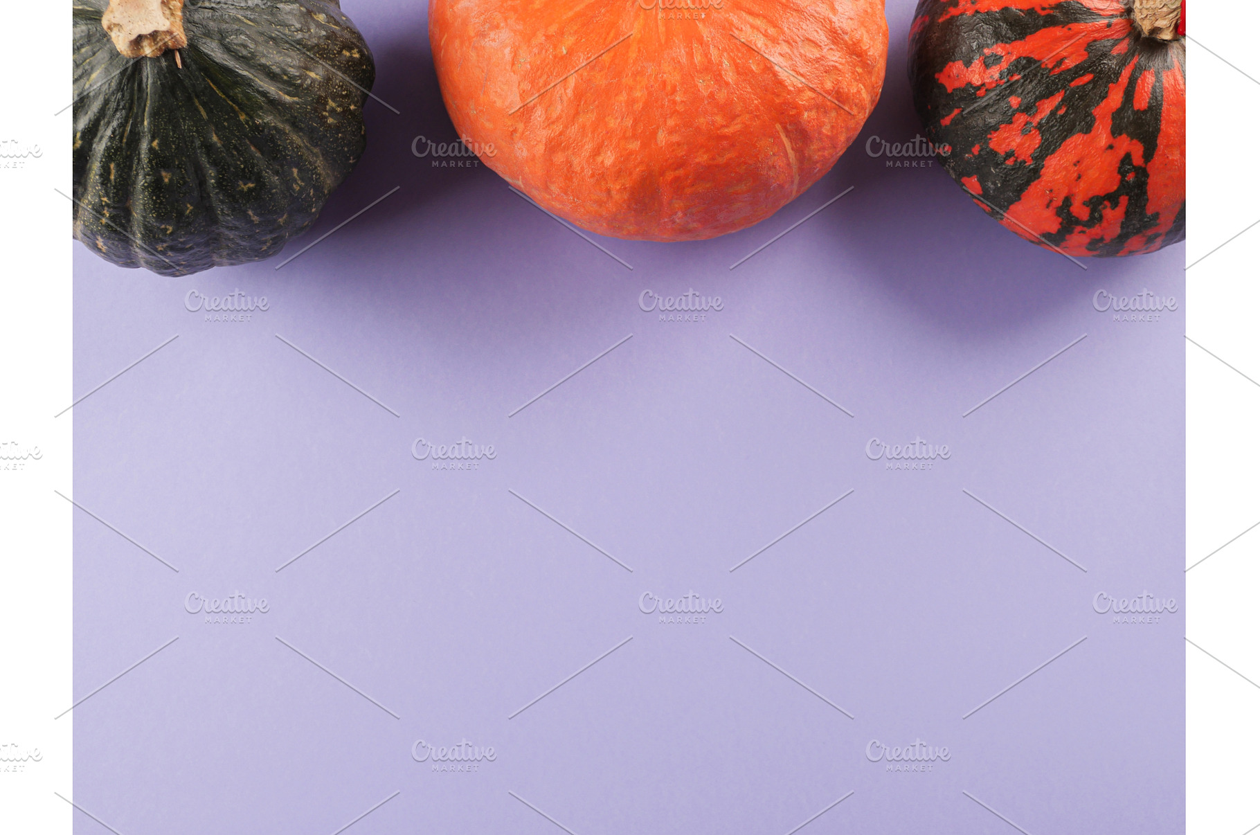 Three colorful pumpkins on purple, a Food & Drink Photo by Lifemorning